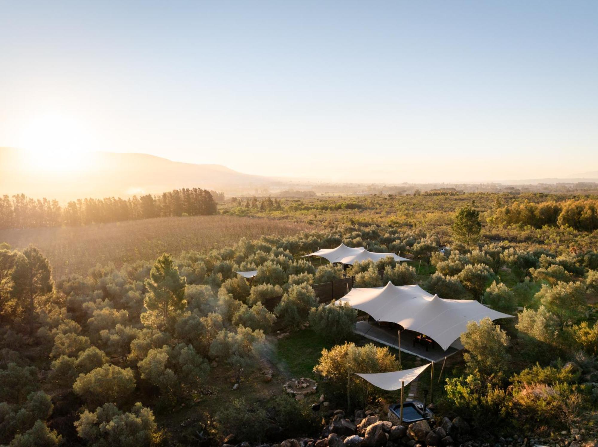 Wagyu Mountain Lodge Paarl Exterior foto